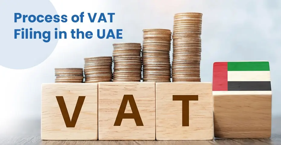 VAT Services in Dubai and UAE: VAT Registration, Filing and Consultancy Guide